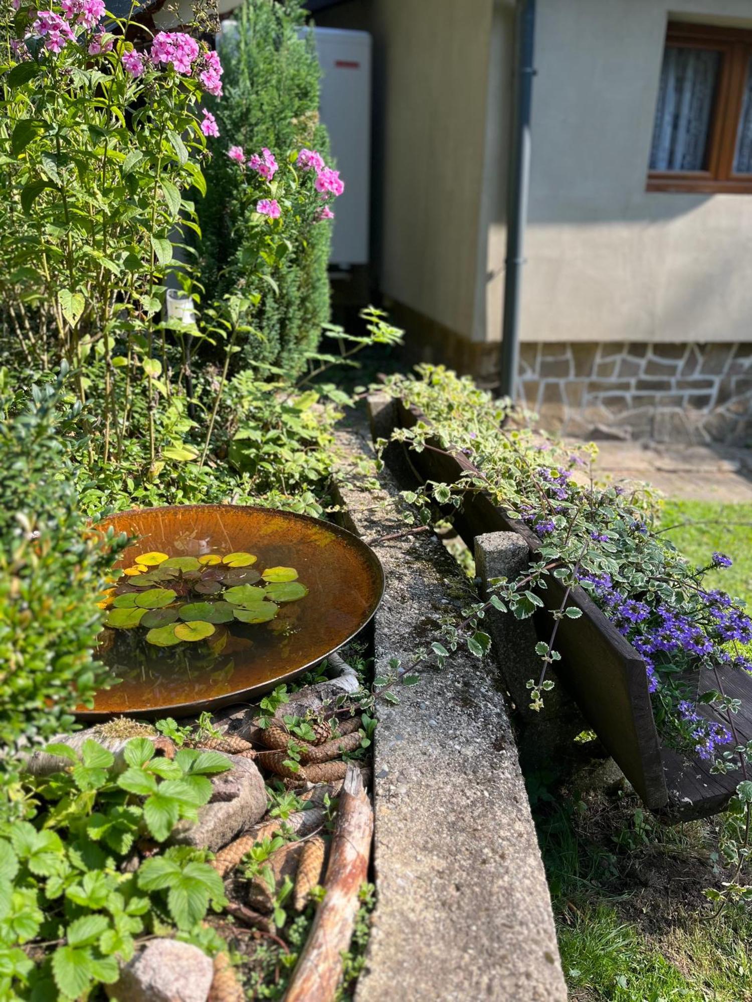Chata Alsovka Medenec Exterior foto